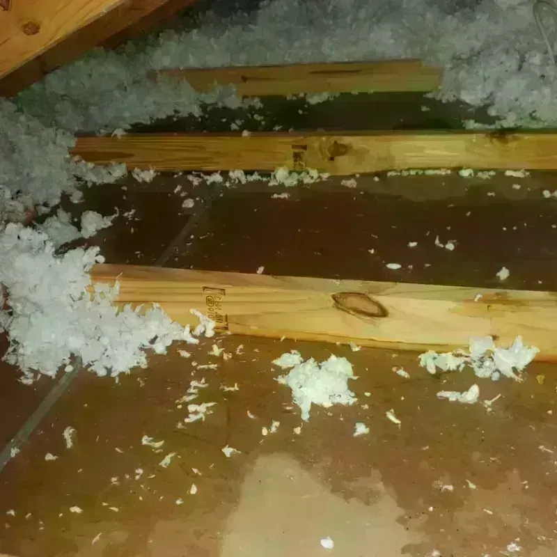 Attic Water Damage in Athens, NY